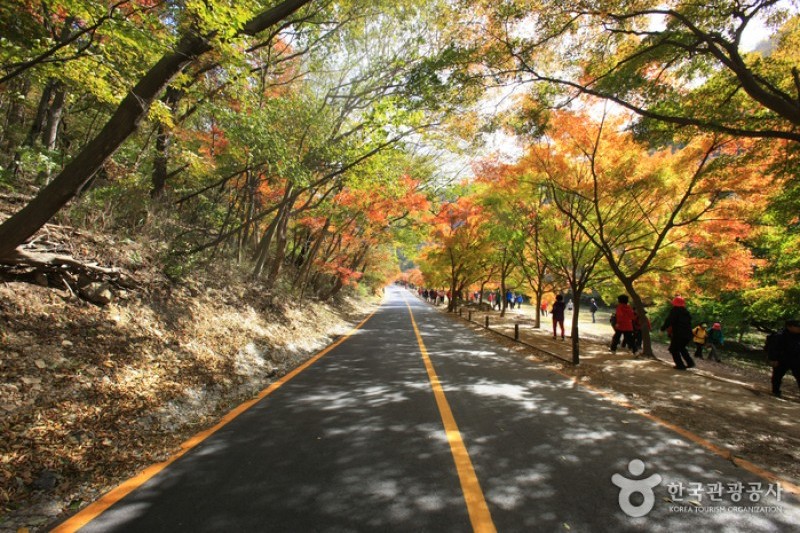 Naejangsan National Park  (18/40)