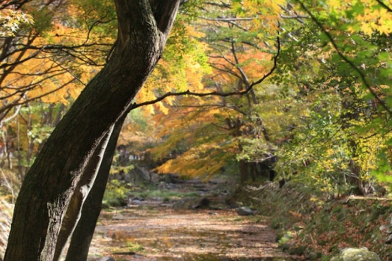Naejangsan National Park  (20/40)