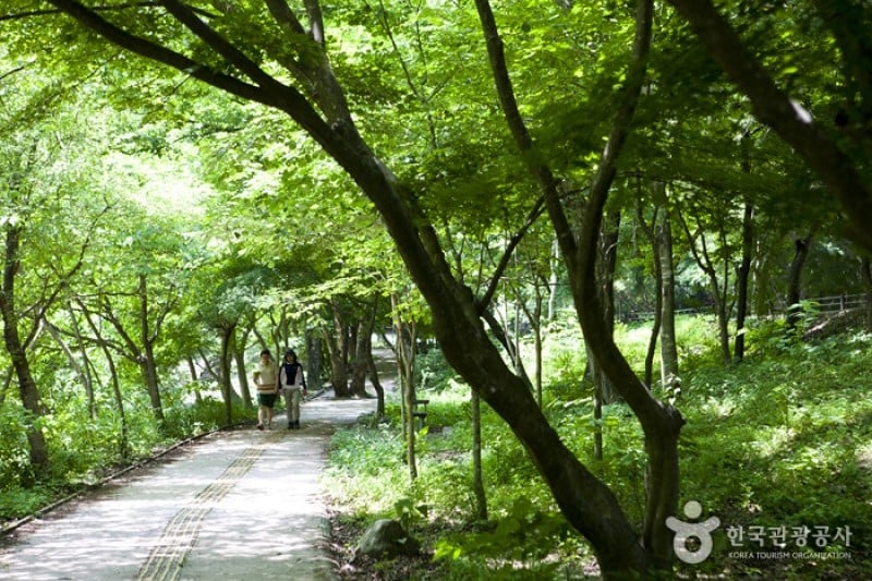 Naejangsan National Park  (23/40)