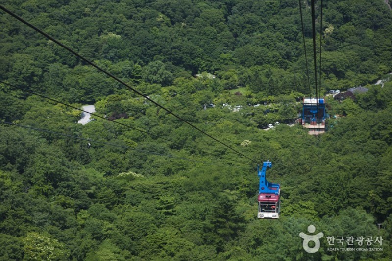Naejangsan National Park  (25/40)