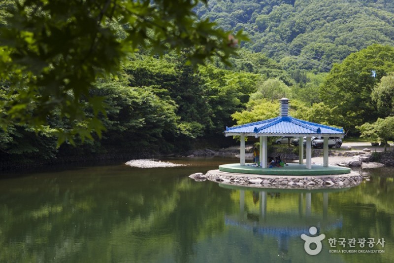 Naejangsan National Park  (26/40)