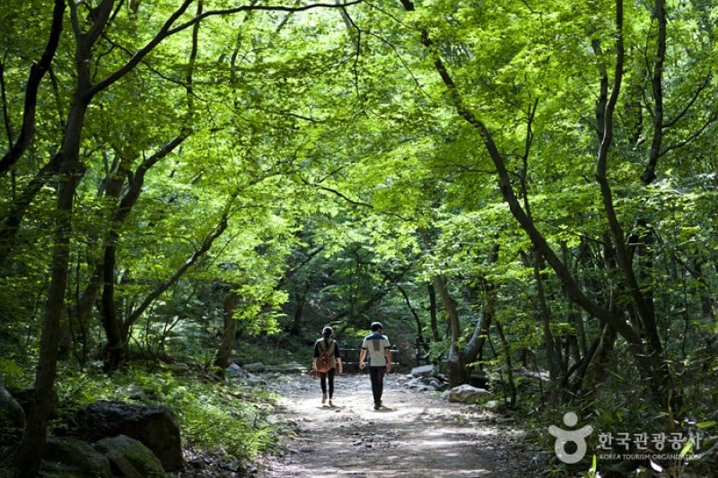 Naejangsan National Park  (28/40)