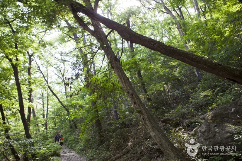Naejangsan National Park  (29/40)