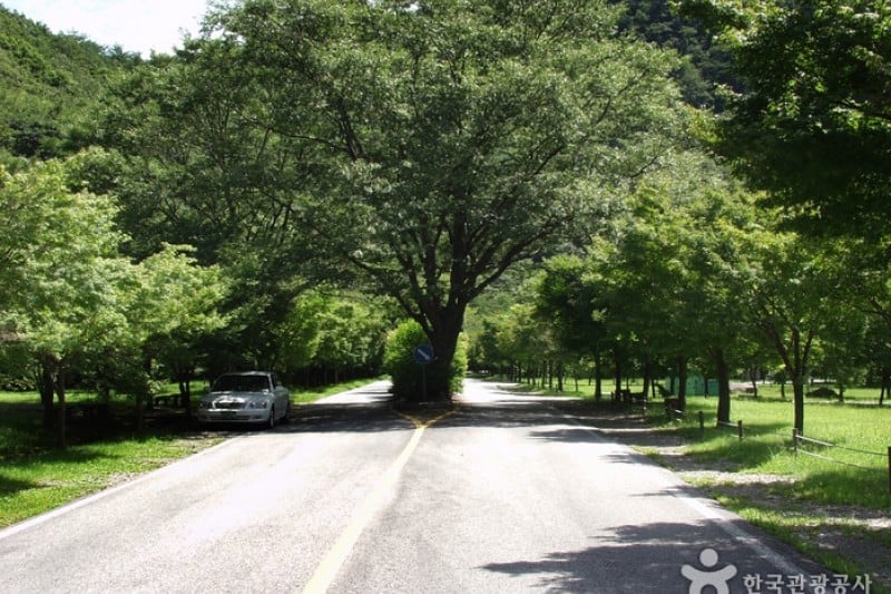 Naejangsan National Park  (33/40)