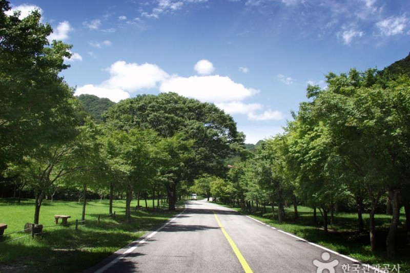 Naejangsan National Park  (34/40)