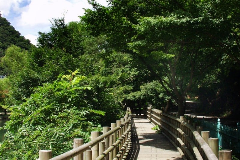 Naejangsan National Park  (35/40)