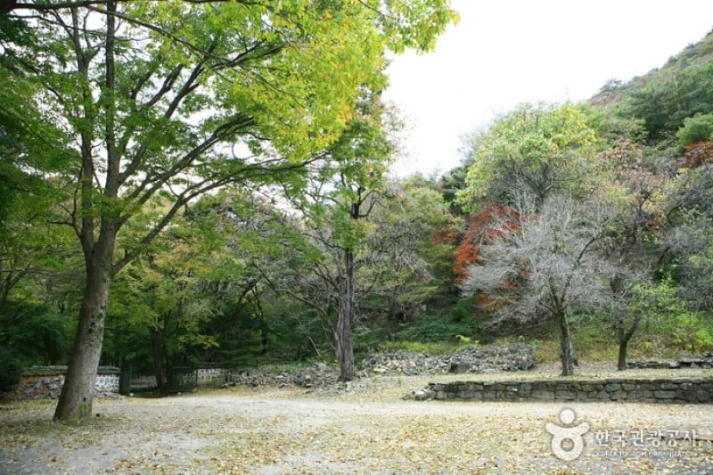 Naejangsan National Park  (40/40)
