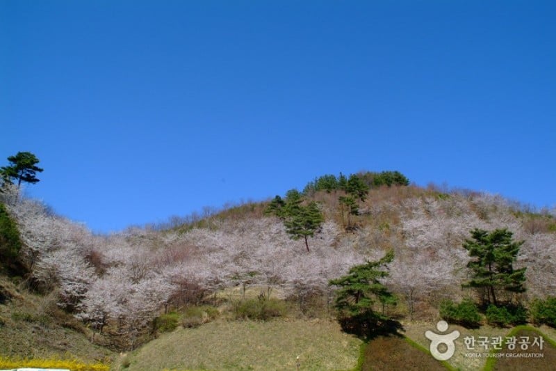 Maisan Provincial Park  (19/22)