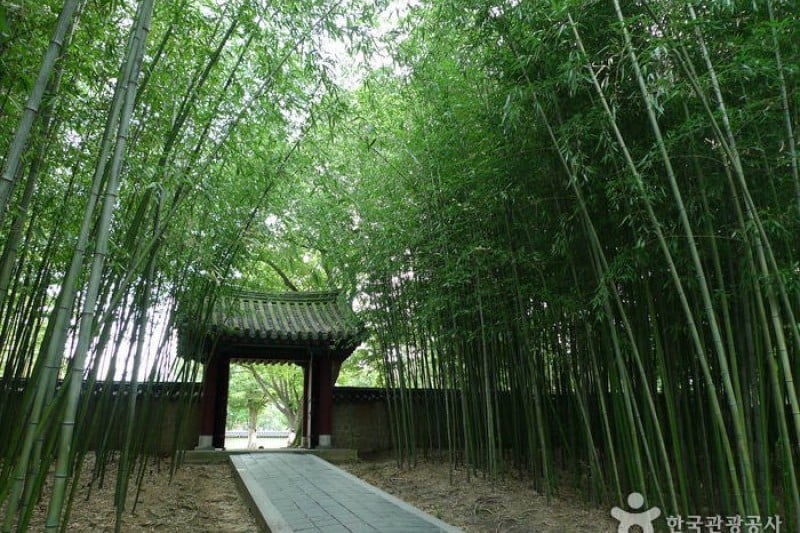 Gyeonggijeon Shrine  (6/25)