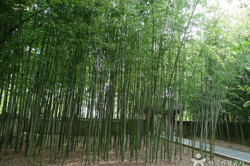 Gyeonggijeon Shrine  (8/25)
