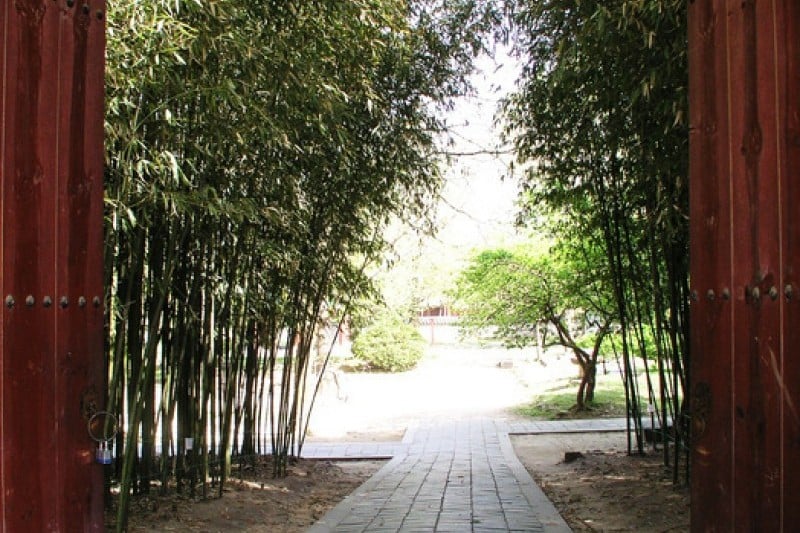 Gyeonggijeon Shrine  (22/25)