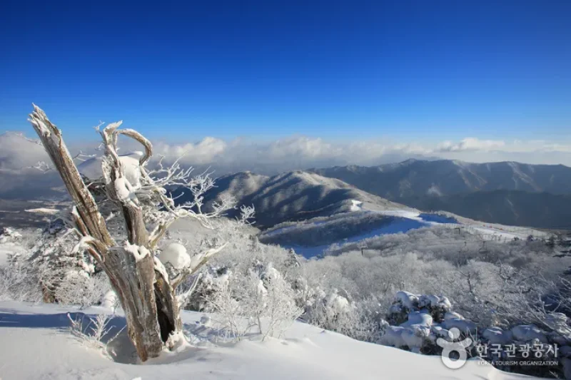 Deogyusan National Park  (3/44)