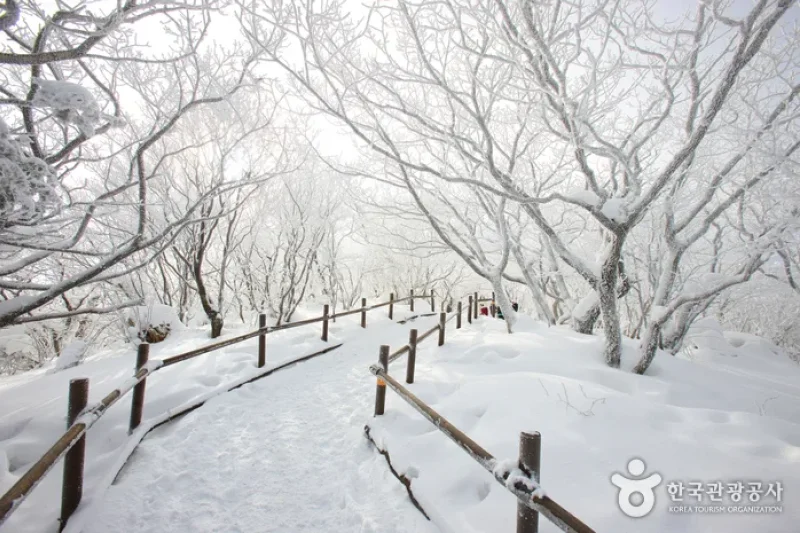 Deogyusan National Park  (5/44)