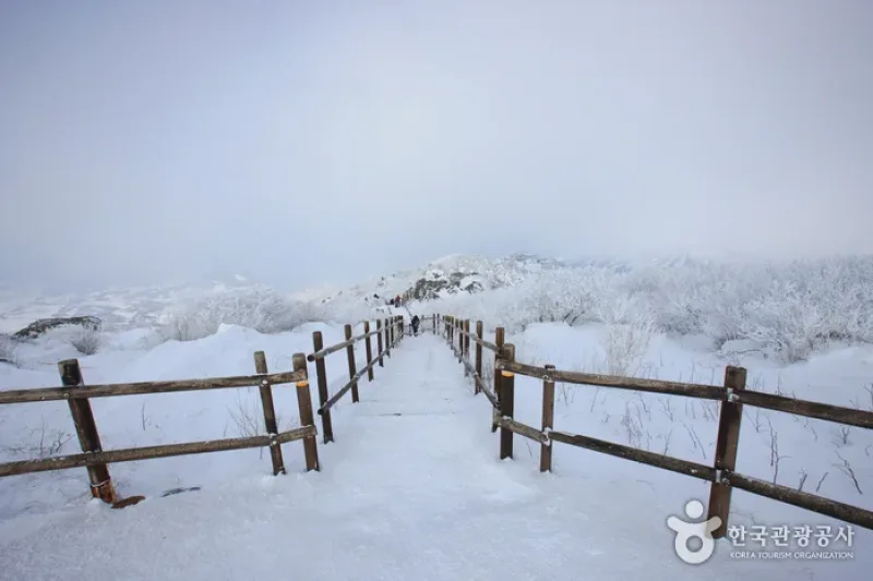 Deogyusan National Park  (9/44)