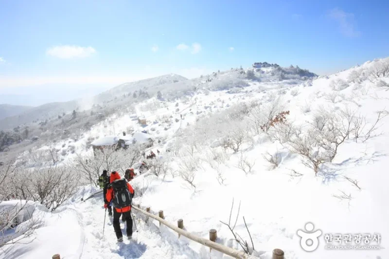 Deogyusan National Park  (11/44)
