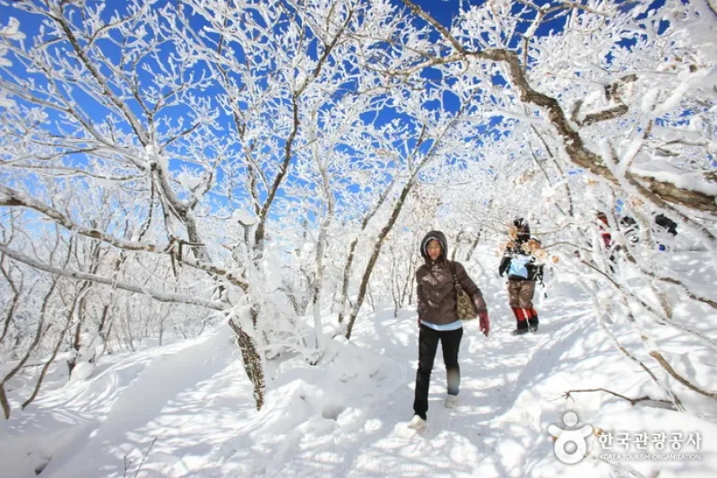 Deogyusan National Park  (14/44)