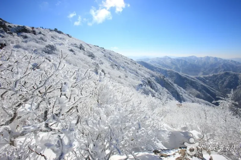 Deogyusan National Park  (16/44)