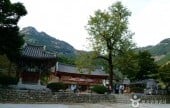 Naesosa Temple 