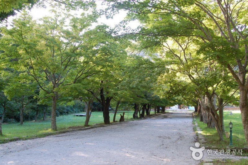 Naesosa Temple  (3/34)