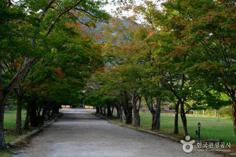 Naesosa Temple  (26/34)