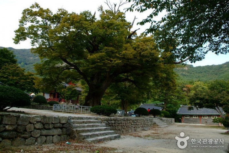 Naesosa Temple  (30/34)