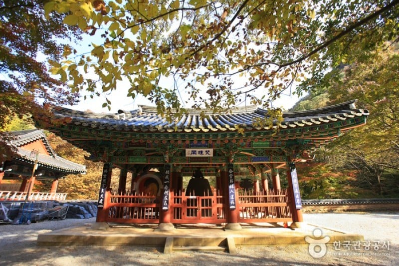 Naejangsa Temple  (18/39)