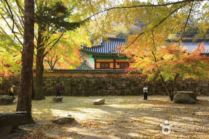 Naejangsa Temple  (20/39)