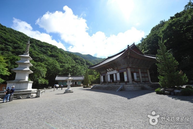 Naejangsa Temple  (24/39)