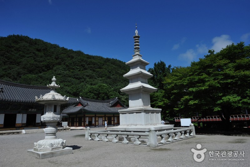 Naejangsa Temple  (25/39)