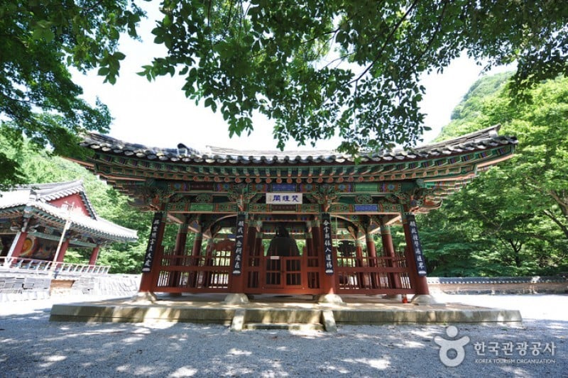 Naejangsa Temple  (26/39)