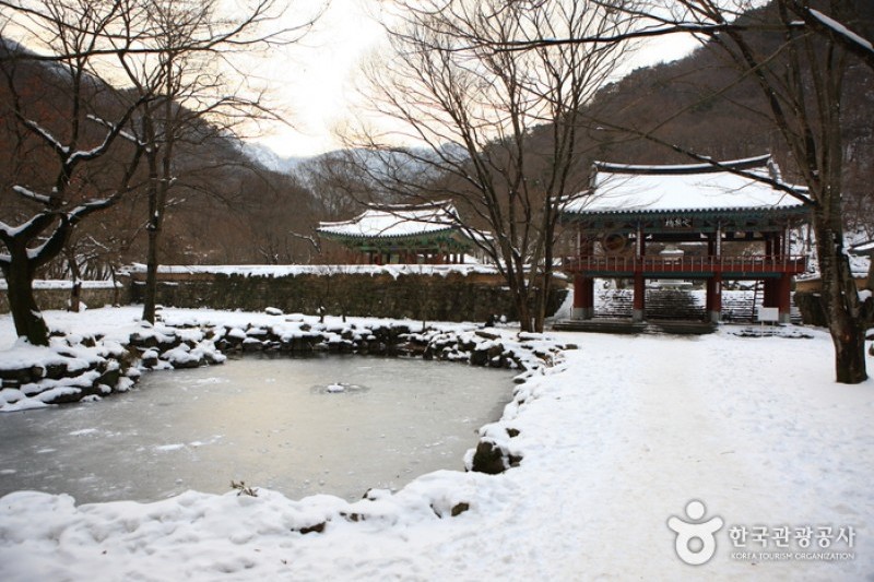 Naejangsa Temple  (30/39)