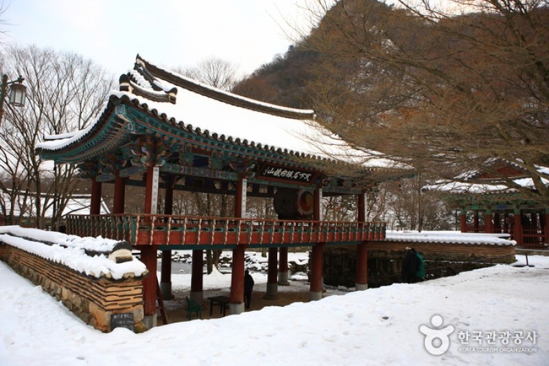 Naejangsa Temple  (32/39)