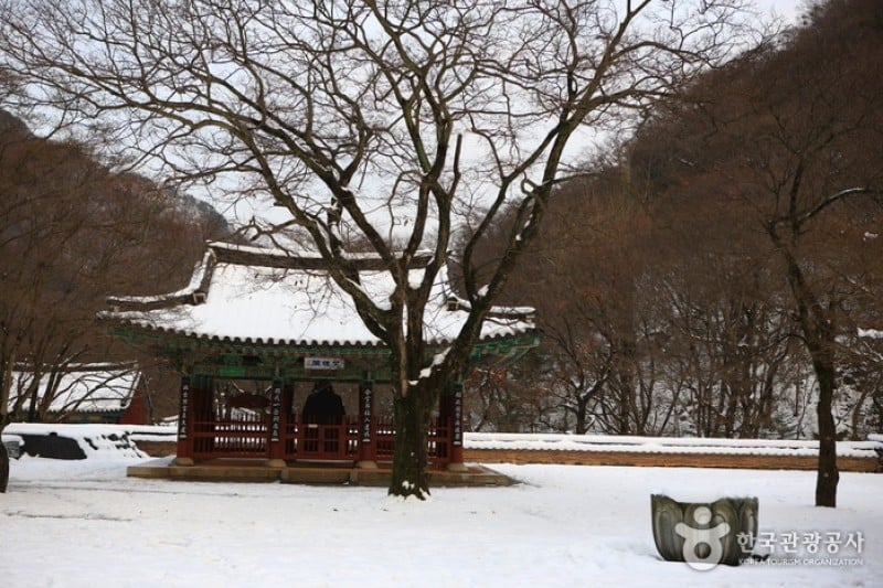 Naejangsa Temple  (36/39)