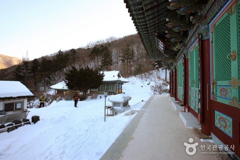 Baengnyeonsa Temple  (7/25)