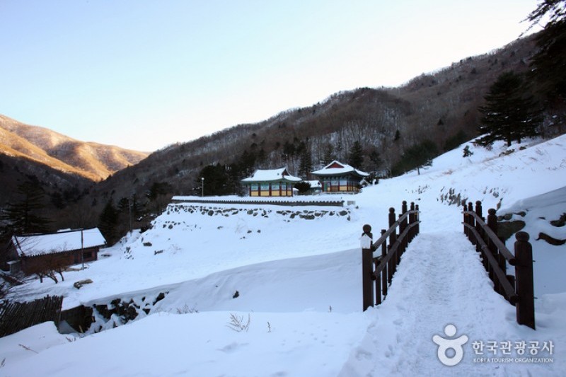 Baengnyeonsa Temple  (14/25)