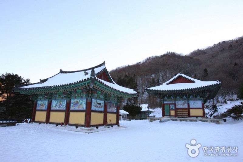 Baengnyeonsa Temple  (15/25)