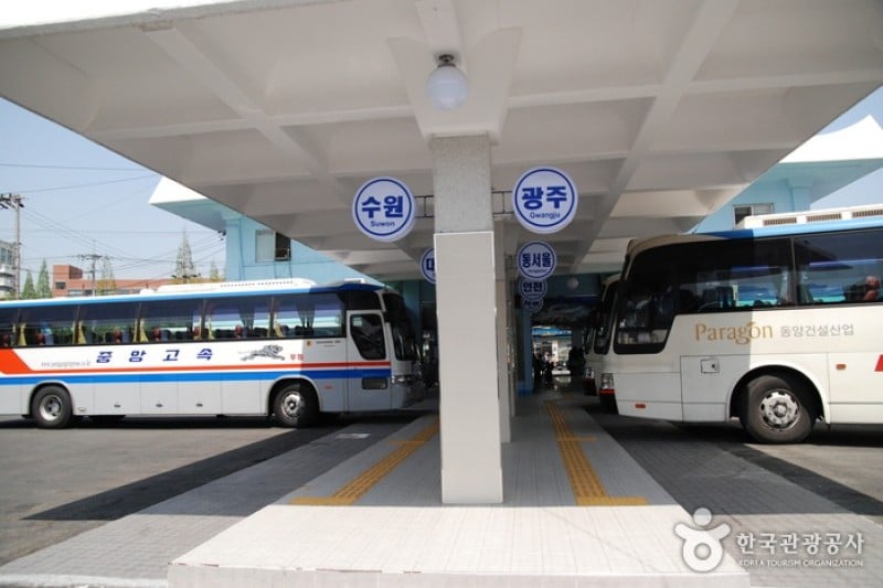 Jeonju Express Bus Terminal  (7/8)