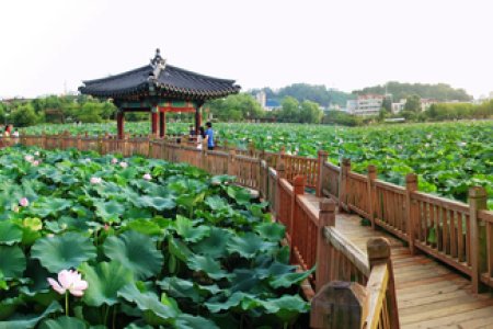 Deokjin Park 