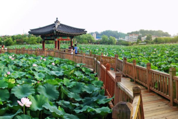 Deokjin Park