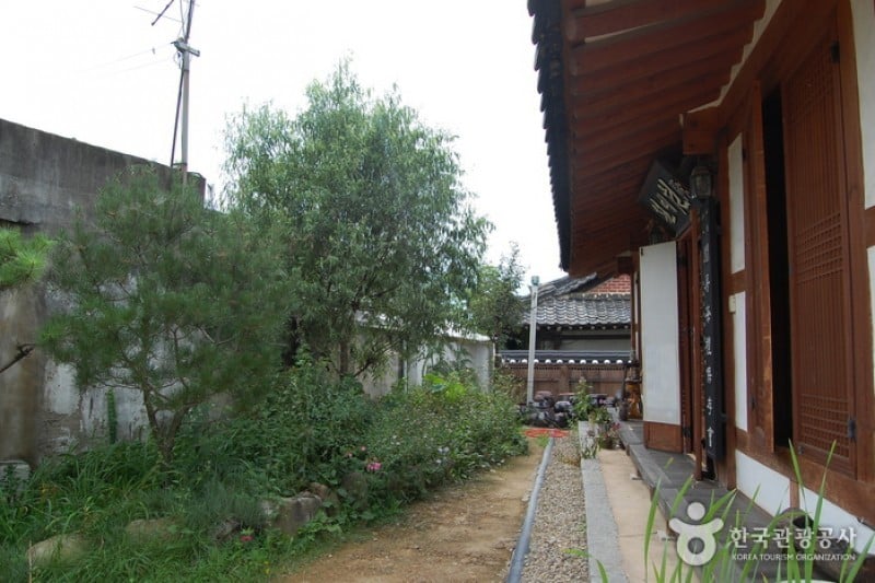 Jeonju Korean Traditional Wine Museum  (7/11)