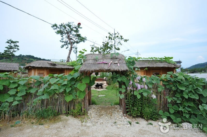Sunchang Gochujang Village  (3/12)