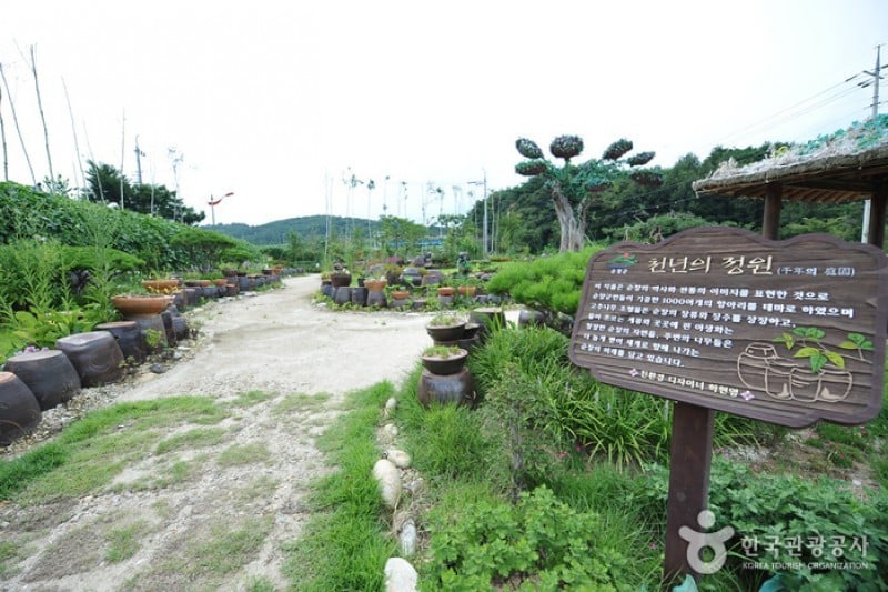 Sunchang Gochujang Village  (5/12)