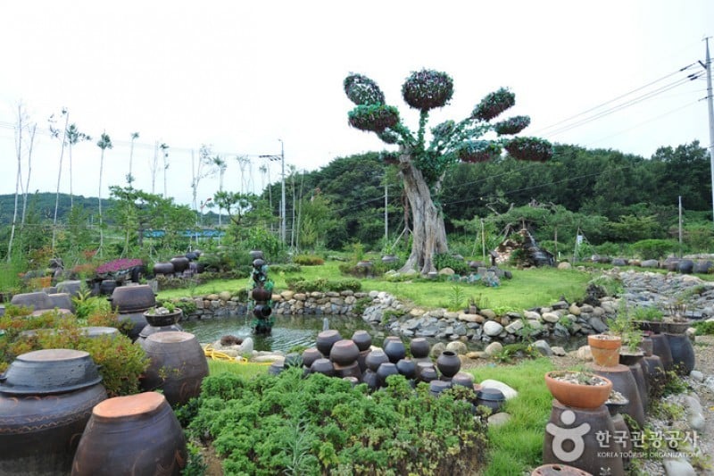 Sunchang Gochujang Village  (6/12)
