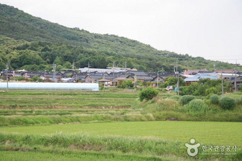Sunchang Gochujang Village  (8/12)