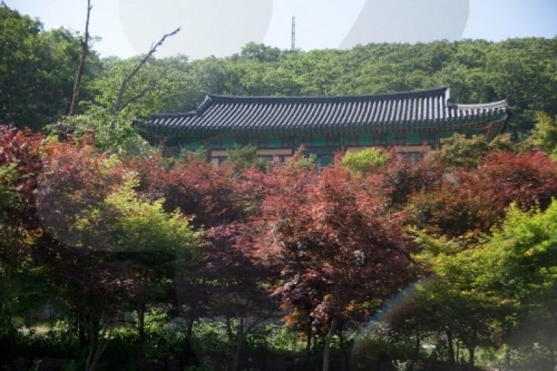 Anguksa Temple  (2/9)