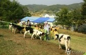 Imsil Cheese Village 