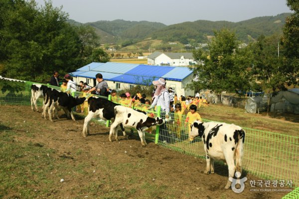 Imsil Cheese Village
