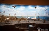 Geumgang Migratory Bird Observatory 
