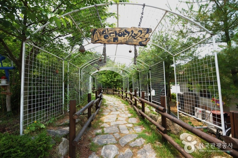 Geumgang Estuary Bird Sanctuary  (1/12)