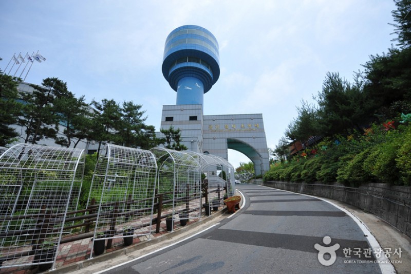 Geumgang Estuary Bird Sanctuary  (2/12)